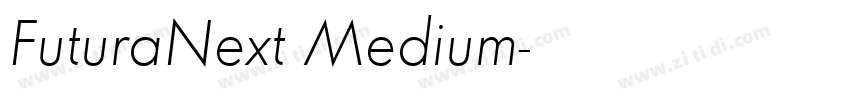 FuturaNext Medium字体转换